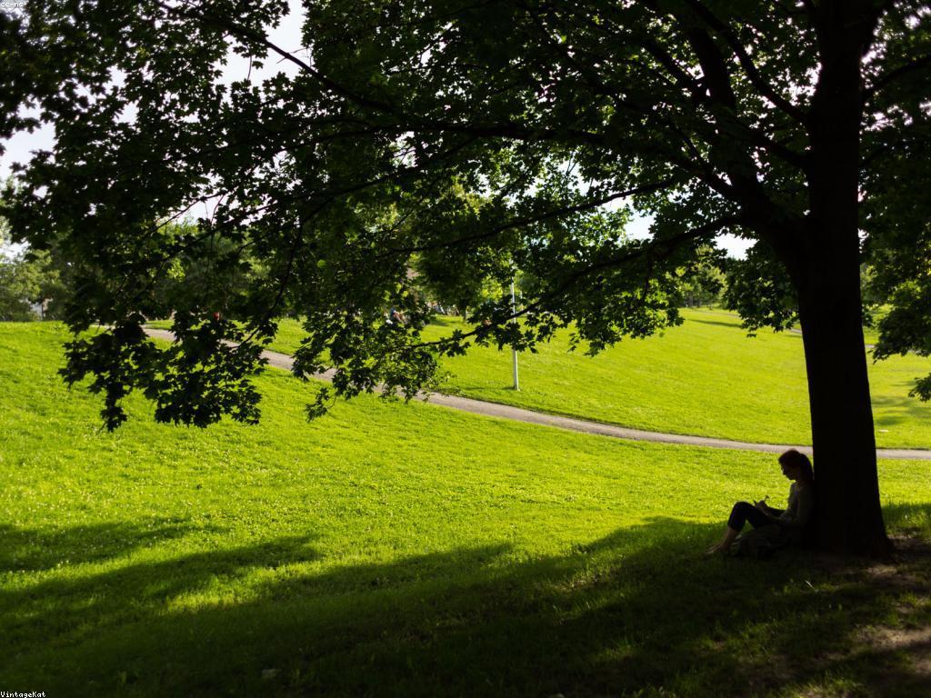 ការណែនាំអត្ថបទថ្មីនៅក្នុងពិភពdigital