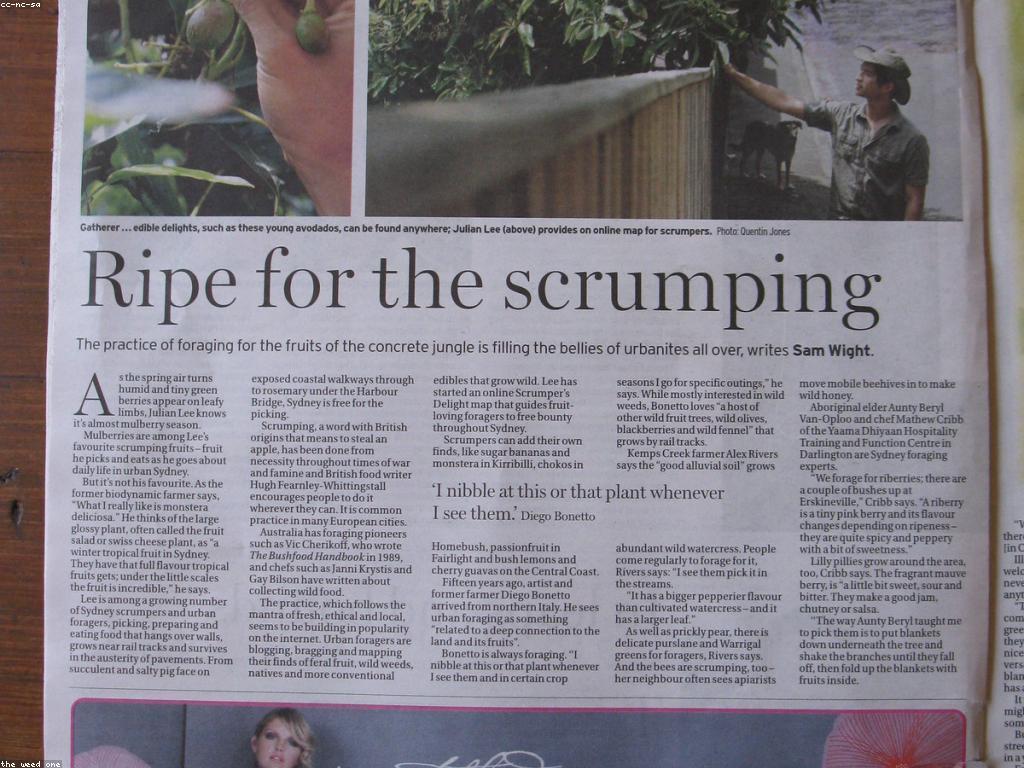 α’αααααααααΈ: ααΆααααααΎα αα·αααΆαααΆααααααα